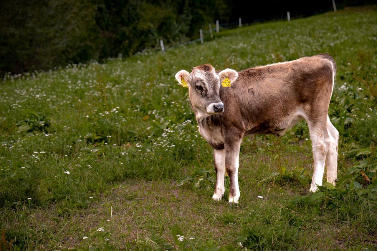 Stillehof - Ferienwohnungen auf dem Bauernhof- Südtirol Bresanona Exterior foto